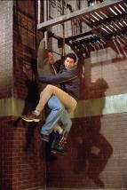 P��tel� VII (14)