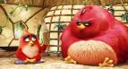 Angry Birds ve filmu