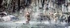 Warcraft: Prvn stet