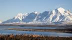 Divok� Chile (1)