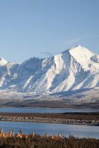 Divok� Chile (3)