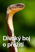 Divok� boj o p�e�it� (5)