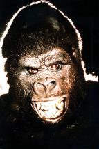 King Kong