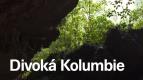 Divok Kolumbie (1)