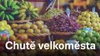 Chut velkomsta (3)