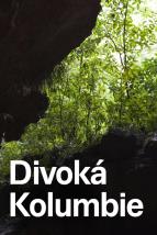 Divok Kolumbie (2)