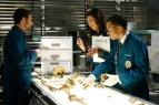 Sb�ratel� kost� IV (2)