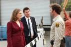 Sb�ratel� kost� V (6)
