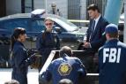 Sb�ratel� kost� V (9)