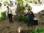 Sb�ratel� kost� VII (1)