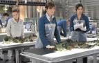 Sb�ratel� kost� VI (6)