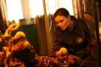 Sb�ratel� kost� VII (2)