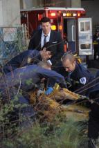 Sb�ratel� kost� VIII (8)