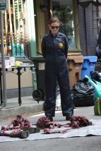 Sb�ratel� kost� VIII (5)