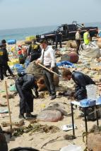 Sb�ratel� kost� VIII (7)
