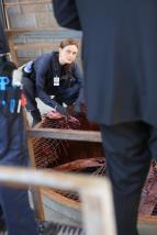 Sb�ratel� kost� IX (1)