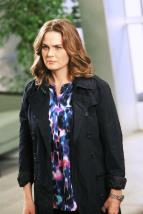 Sbratel kost XI (10)