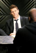 Sbratel kost XI (11)