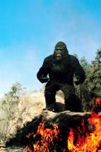 King Kong �ije