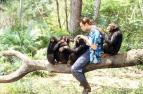 Ace Ventura 2: Vol�n� divo�iny