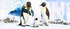 Happy Feet