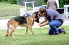K-9: Soukrom� detektiv