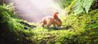 Putov�n� s dinosaury