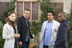 Dr. House V (18)