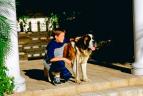 Beethoven 3