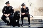 Policejn akademie