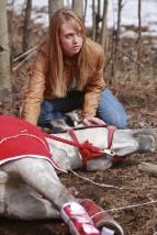 Ran� Heartland III (8)