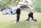 Policie Delta