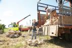 Top Gear XXI (6)