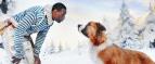 Vol�n� divo�iny