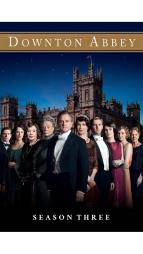 Panstv Downton III (10)