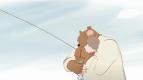O my�ce a medv�dovi