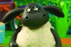 Kamar�d Timmy