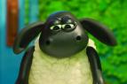 Kamar�d Timmy