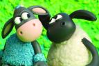Kamar�d Timmy