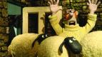 Ove�ka Shaun VI