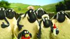 Ove�ka Shaun IV
