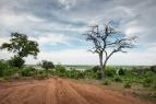 Africk� abeceda