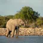 Africk� abeceda