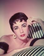 Hv�zdy st��brn�ho pl�tna