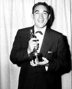 Hv�zdy st��brn�ho pl�tna