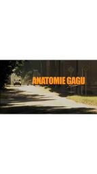 Anatomie gagu