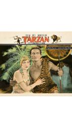 Tarzan a zlat lev