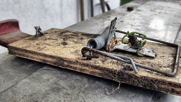 U� dlouho ��dn� �ivot nevzala