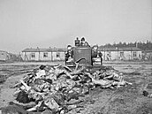 Britsk buldozer hrne tla do masovch hrob (Wikipedie)