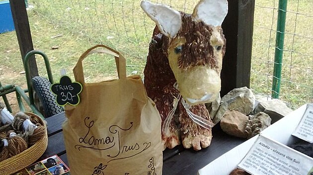 U vstupu zaplatíte vstupné a můžete si zde zakoupit drobné suvenýry. Nechyběl ani jeden větší, kterým byl trus z lamy.